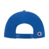 Token Adjustable Cap